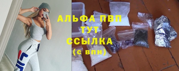 ECSTASY Покачи