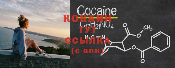 амф Вуктыл