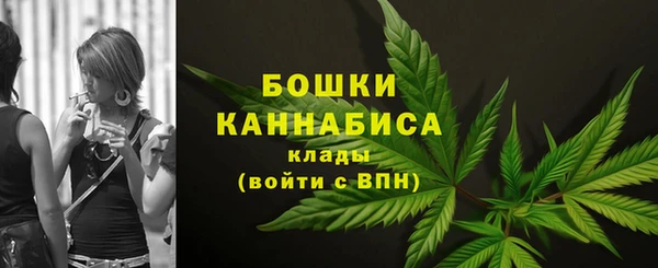 амф Вуктыл
