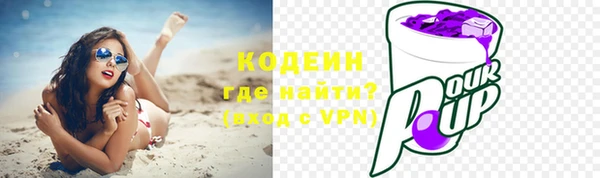 амф Вуктыл